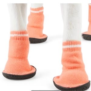 Youly the trailblazer pet socks